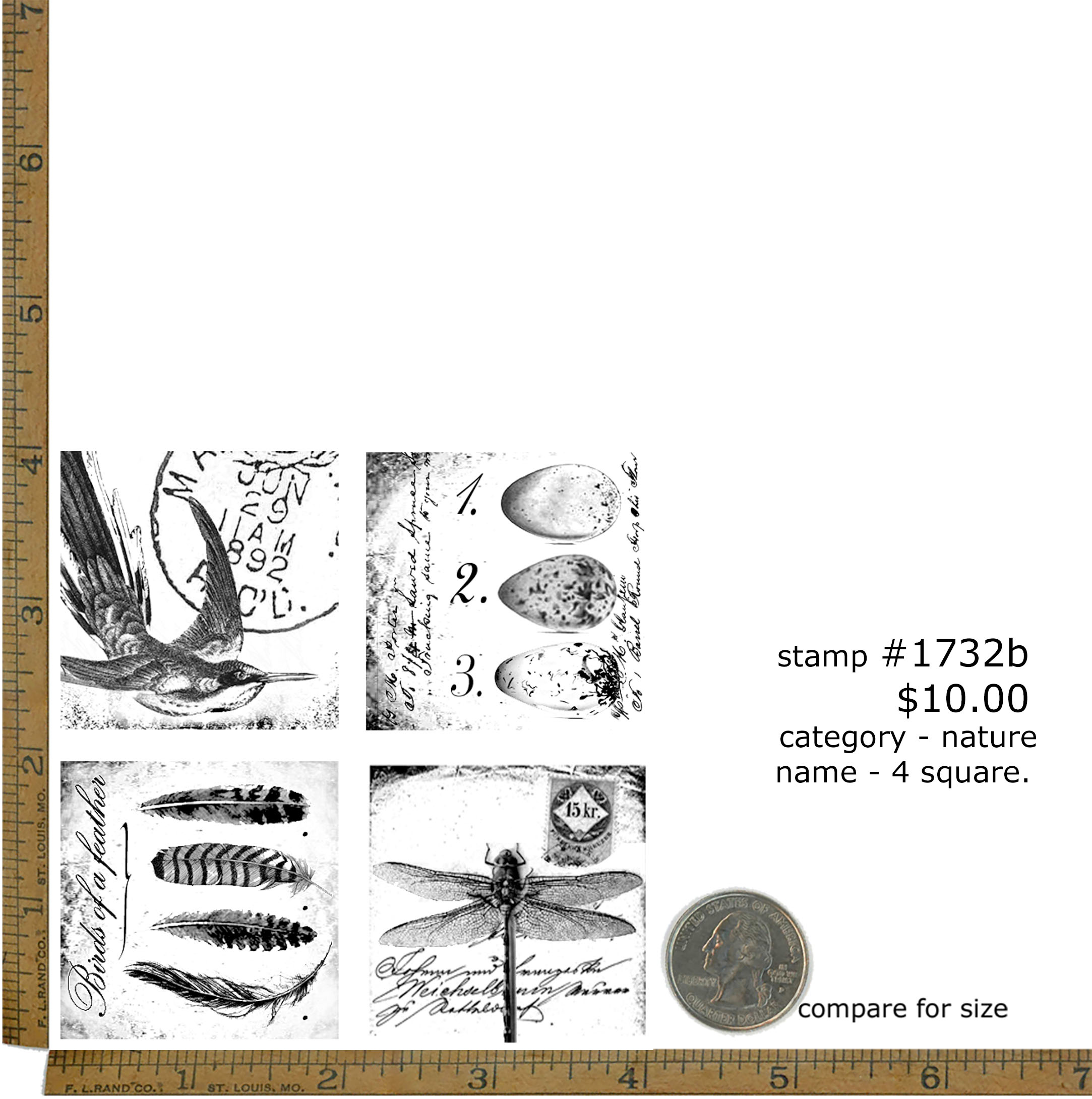 #1732b - 4 Square - Nature